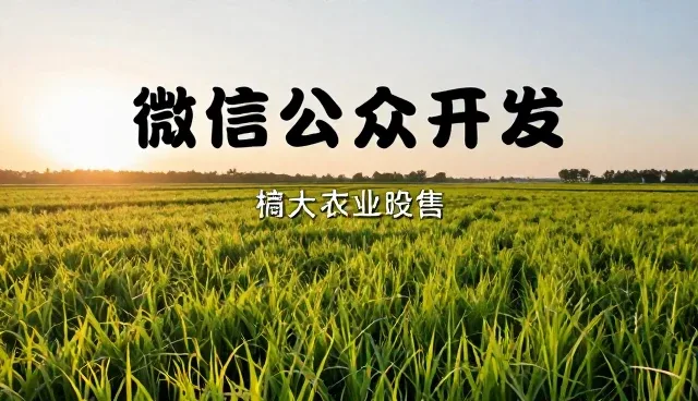 提升公众号运行效率的服务器优化技巧