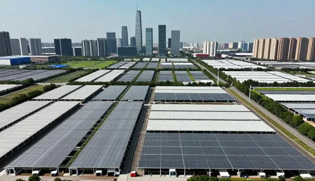 网络管理：技术选型常见问题与处理方法